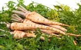 Parsley Image